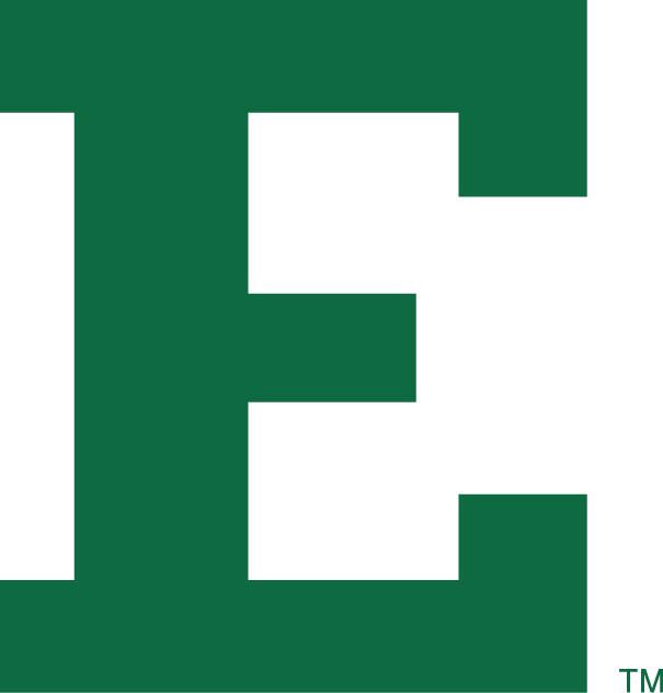 Eastern Michigan Eagles 2002 Primary Logo diy DTF decal sticker